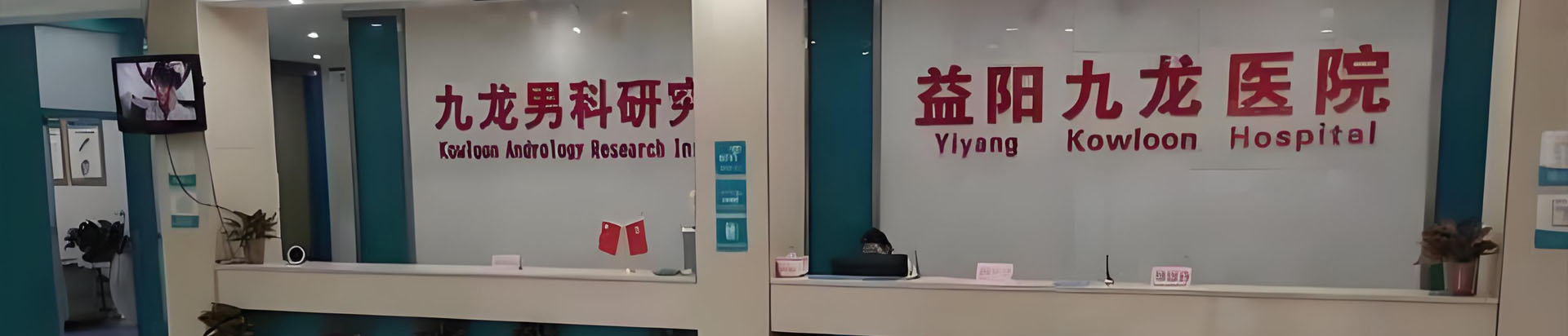 专家团队